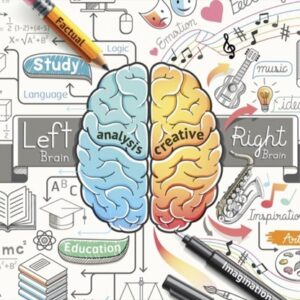 Brain Related Resources
